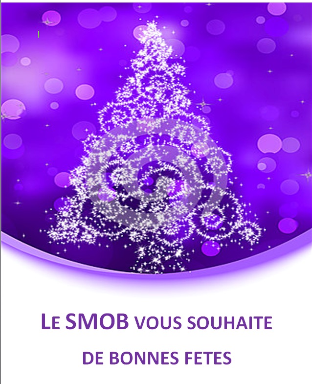 Arbre de Noël 2014 post thumbnail image
